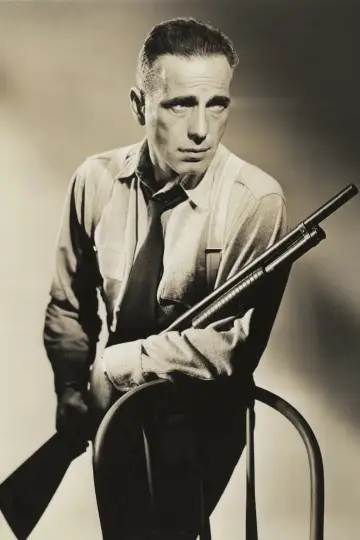 Poster to the movie "High Sierra" #419638
