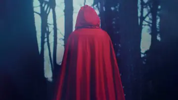 Backdrop to the movie "The Handmaid
