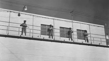 Backdrop to the movie "Riot in Cell Block 11" #1068734