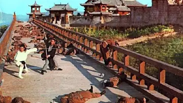 Backdrop to the movie "The New One-Armed Swordsman" #947857