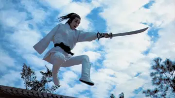 Backdrop to the movie "The New One-Armed Swordsman" #947858