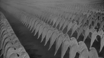 Backdrop to the movie "A Matter of Life and Death" #1400147