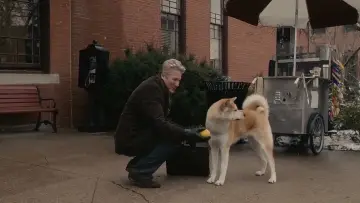 Backdrop to the movie "Hachi: A Dog