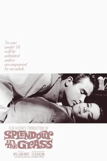 Poster to the movie "Splendor in the Grass" #1014743