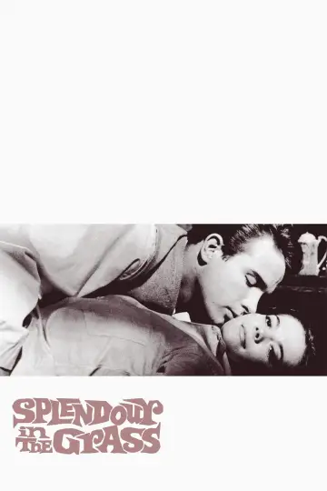 Poster to the movie "Splendor in the Grass" #1014744