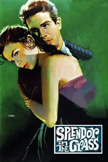 Poster to the movie "Splendor in the Grass" #1014745