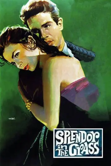 Poster to the movie "Splendor in the Grass" #1014746
