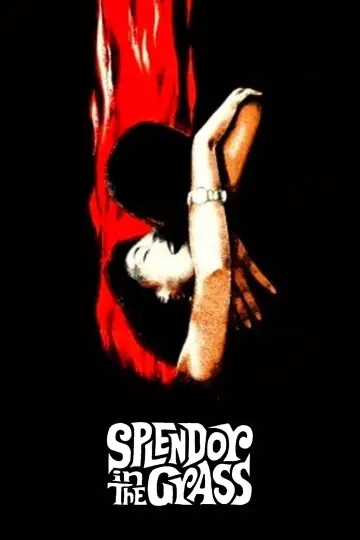 Poster to the movie "Splendor in the Grass" #1014747