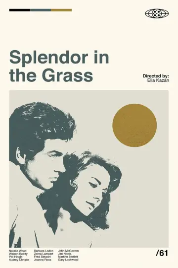 Poster to the movie "Splendor in the Grass" #1014748