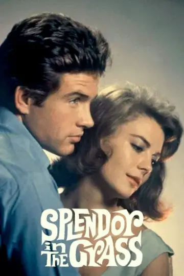 Poster to the movie "Splendor in the Grass" #1014749