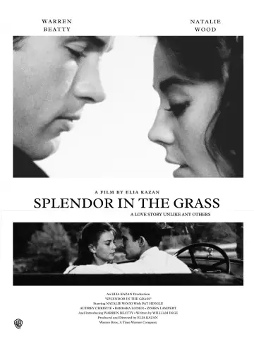 Poster to the movie "Splendor in the Grass" #1014756
