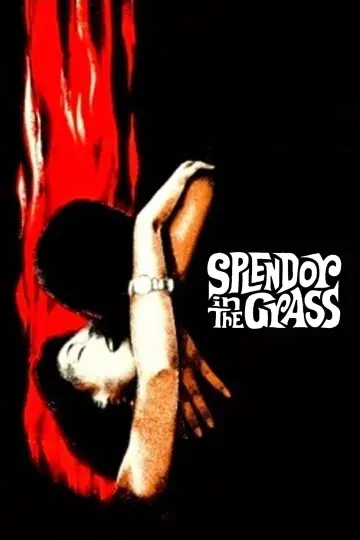Poster to the movie "Splendor in the Grass" #1014757