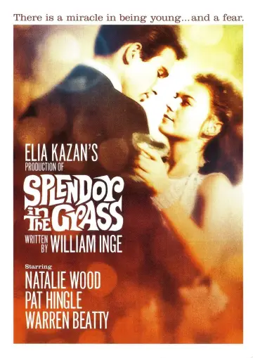 Poster to the movie "Splendor in the Grass" #1014758