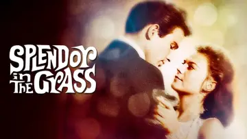 Backdrop to the movie "Splendor in the Grass" #365051