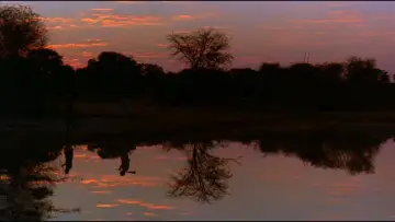 Backdrop to the movie "White Hunter, Black Heart" #1030954