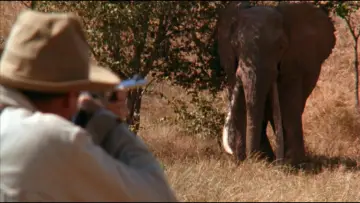 Backdrop to the movie "White Hunter, Black Heart" #1030956