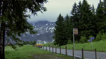 Backdrop to the movie "Phenomena" #994994