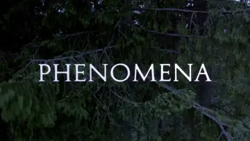 Backdrop to the movie "Phenomena" #994995