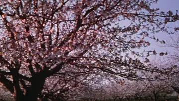 Backdrop to the movie "Lust for Life" #1014694
