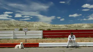 Backdrop to the movie "Bombón El Perro" #1140687