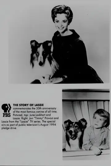 Poster to the movie "Lassie" #1106245