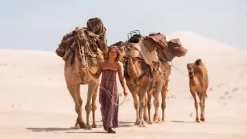Backdrop to the movie "Tracks" #253934