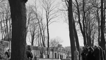 Backdrop to the movie "Ida" #989686
