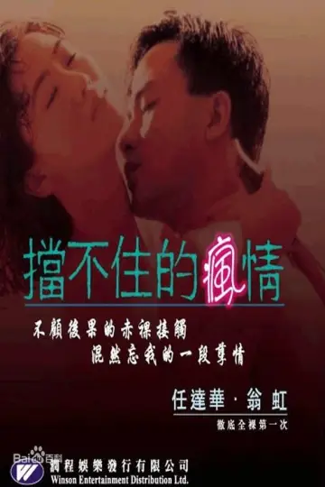 Don't Stop My Crazy Love for You poster