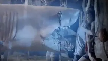 Backdrop to the movie "Ghost Shark" #1103668
