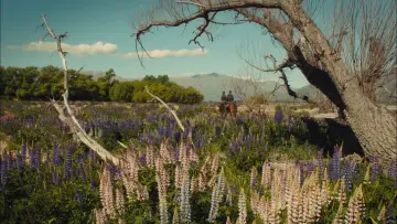 Backdrop to the movie "Slow West" #996331