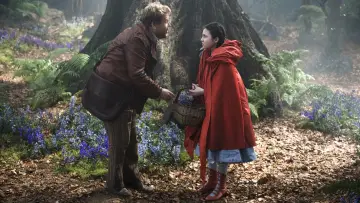 Backdrop to the movie "Into the Woods" #373887
