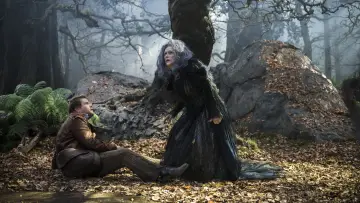 Backdrop to the movie "Into the Woods" #373888
