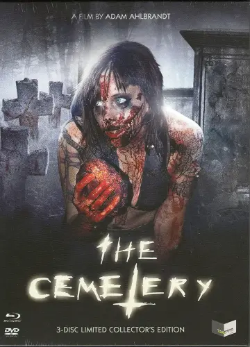 Poster to the movie "The Cemetery" #1137719