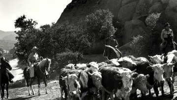 Backdrop to the movie "Riders in the Sky" #478181
