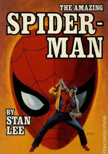 Poster to the movie "Spider-Man" #1007315