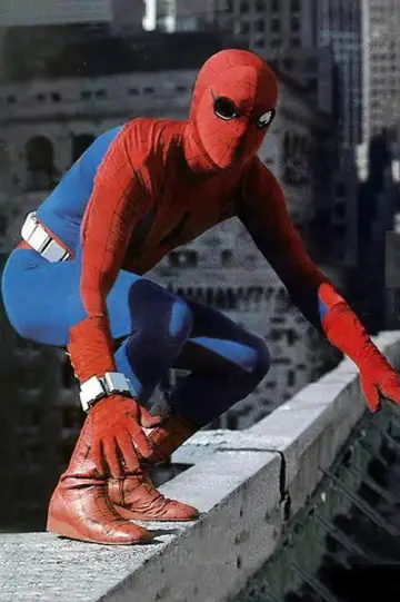 Poster to the movie "Spider-Man Strikes Back" #981356