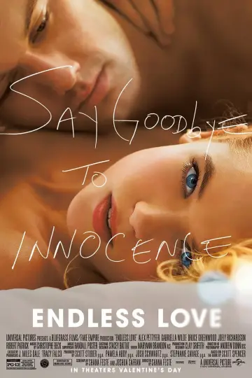 Poster to the movie "Endless Love" #860857