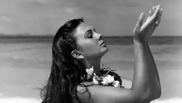 Backdrop to the movie "The Blue Lagoon" #938676