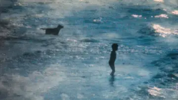 Backdrop to the movie "The Beach" #1637594