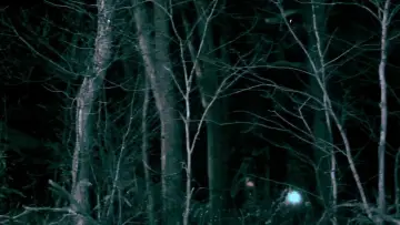 Backdrop to the movie "All Hallows