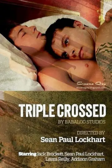 Poster to the movie "Triple Crossed" #907024