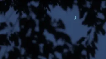Backdrop to the movie "Nostos: The Return" #1210949