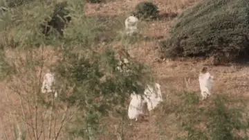 Backdrop to the movie "Nostos: The Return" #1210952
