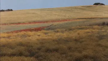 Backdrop to the movie "Nostos: The Return" #1210968