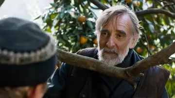 Backdrop to the movie "Tangerines" #985332