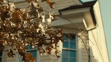 Backdrop to the movie "The Skeleton Twins" #996906