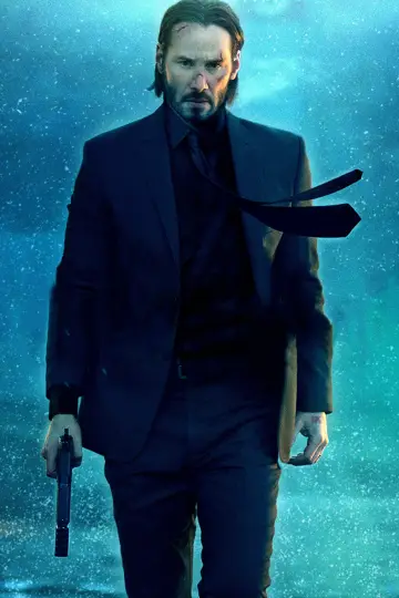 Poster to the movie "John Wick" #216566