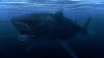 Backdrop to the movie "Mega Shark vs. Mecha Shark" #1013546