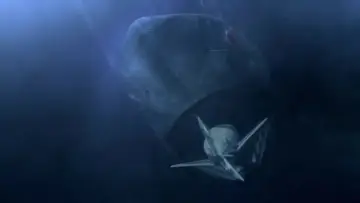 Backdrop to the movie "Mega Shark vs. Mecha Shark" #362078