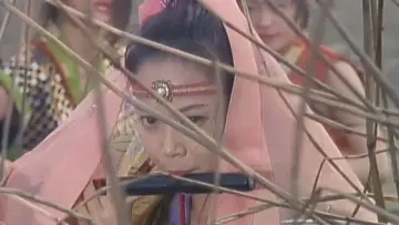 Backdrop to the movie "Lady Ninja: Reflections of Darkness" #1160253